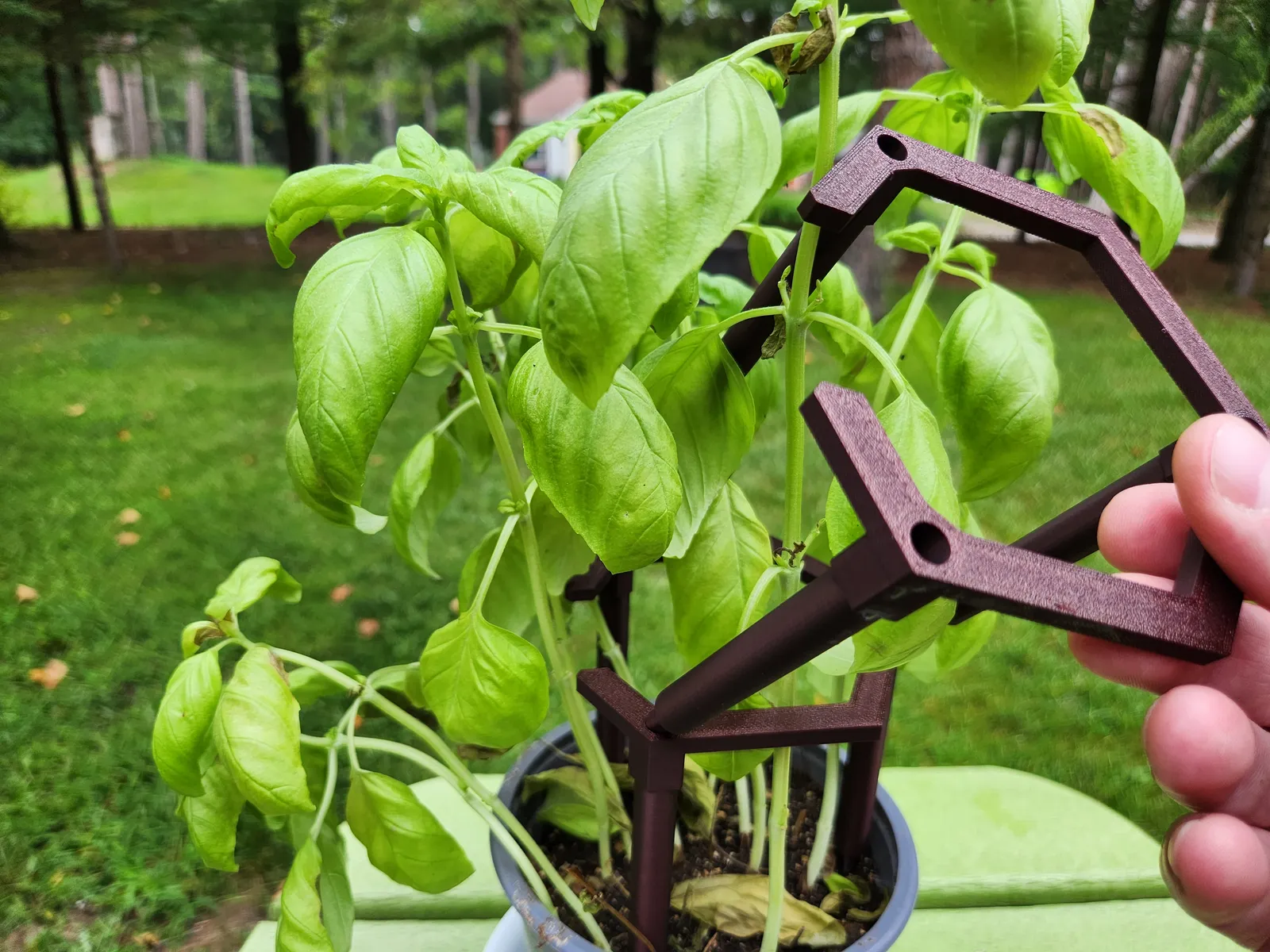 盆栽植物支撑桩