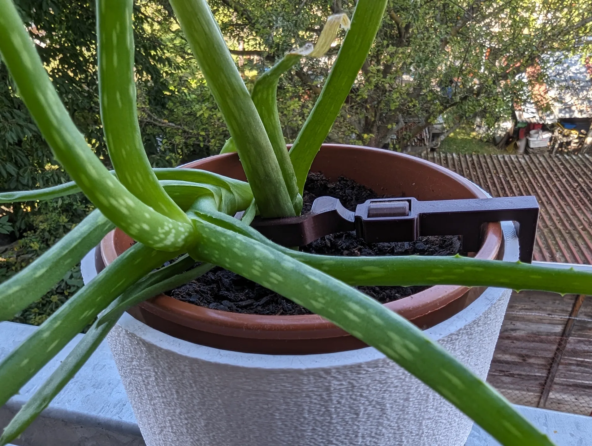 植物拉枝调整器