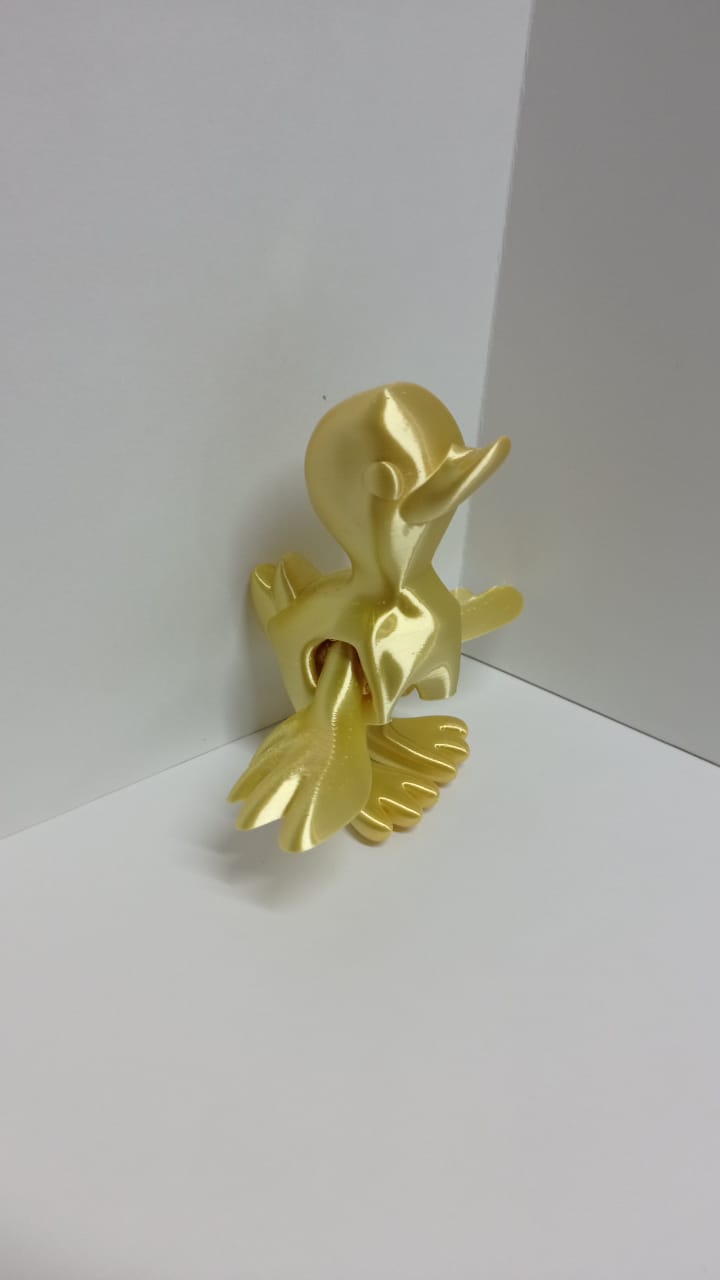 关节小鸭