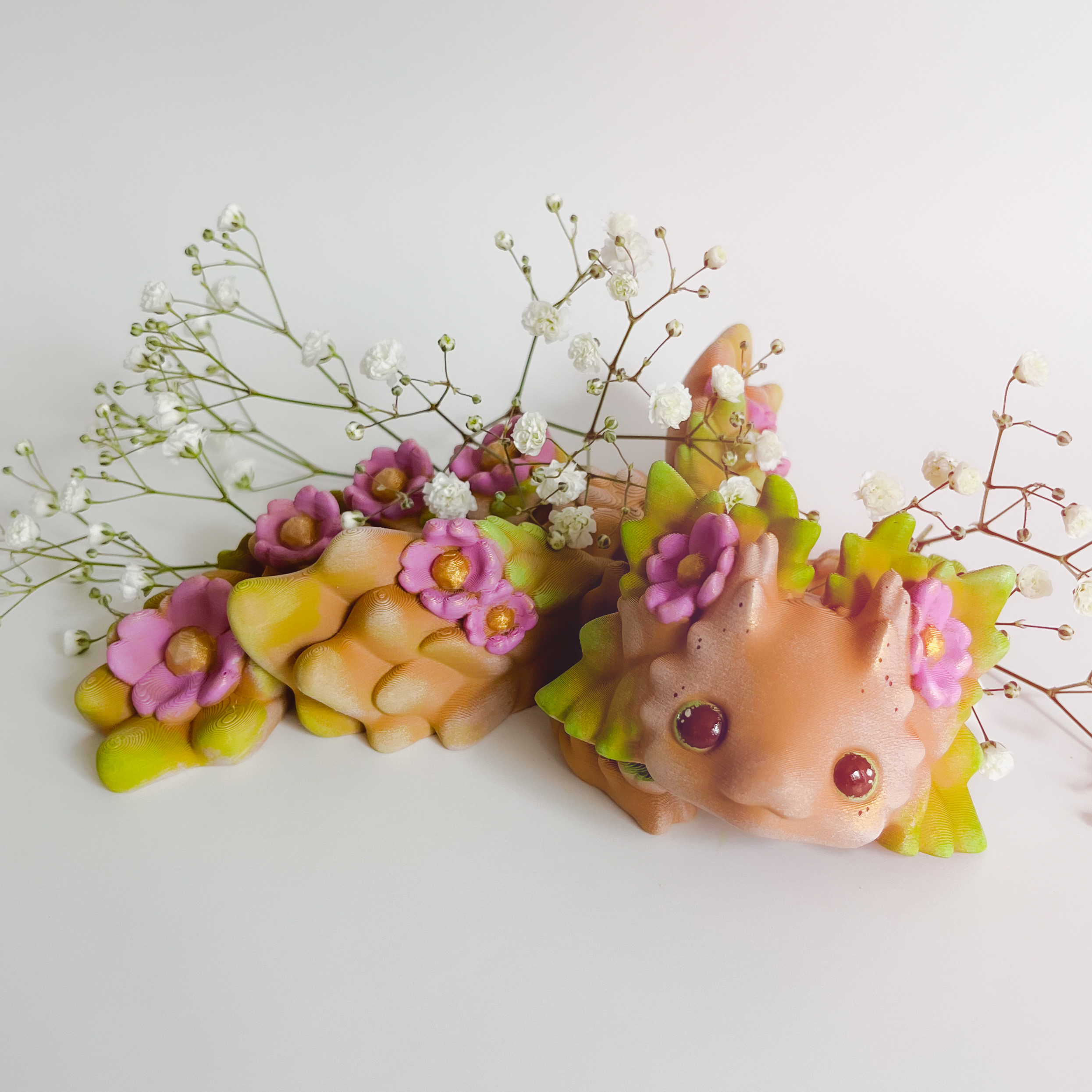 小花龙