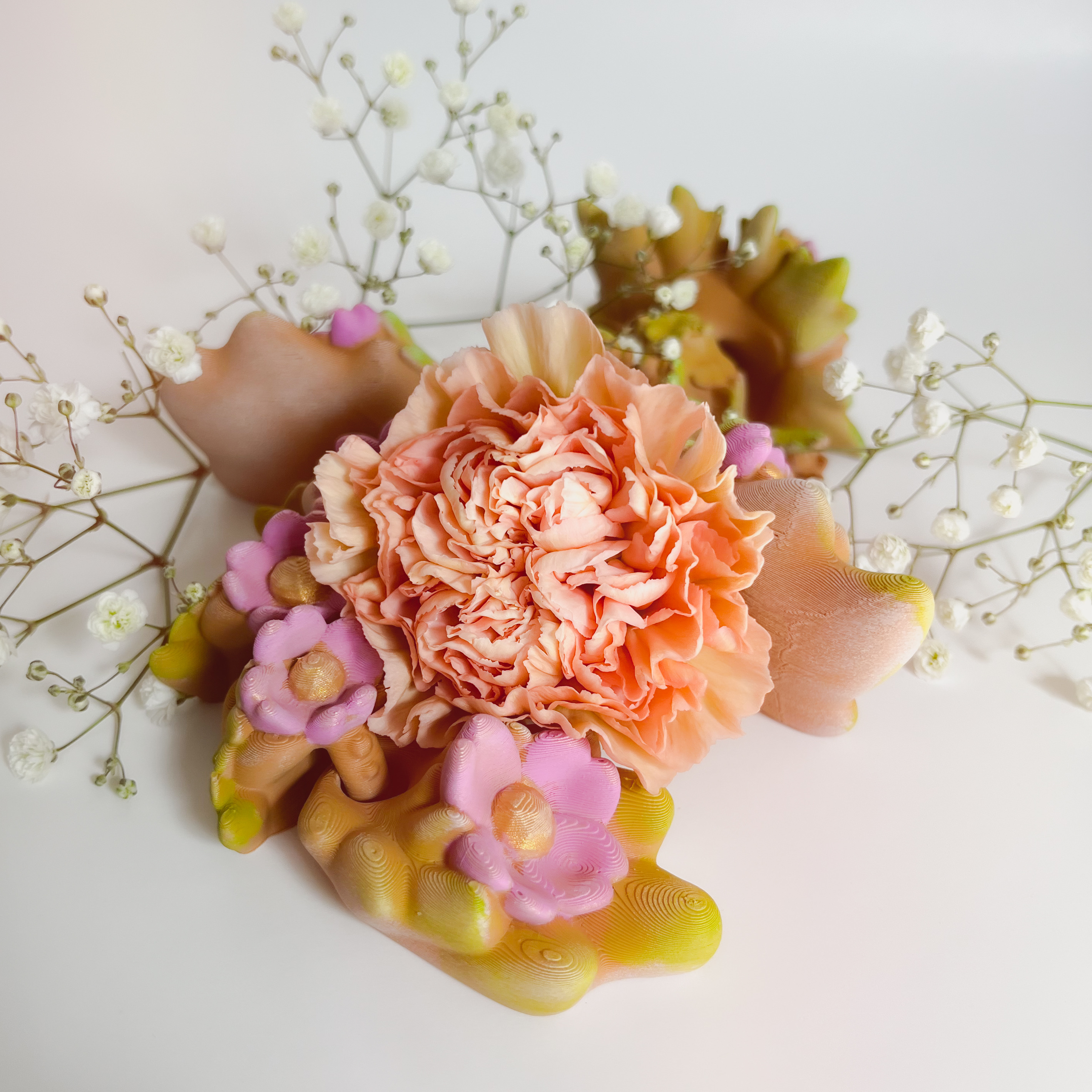 小花龙
