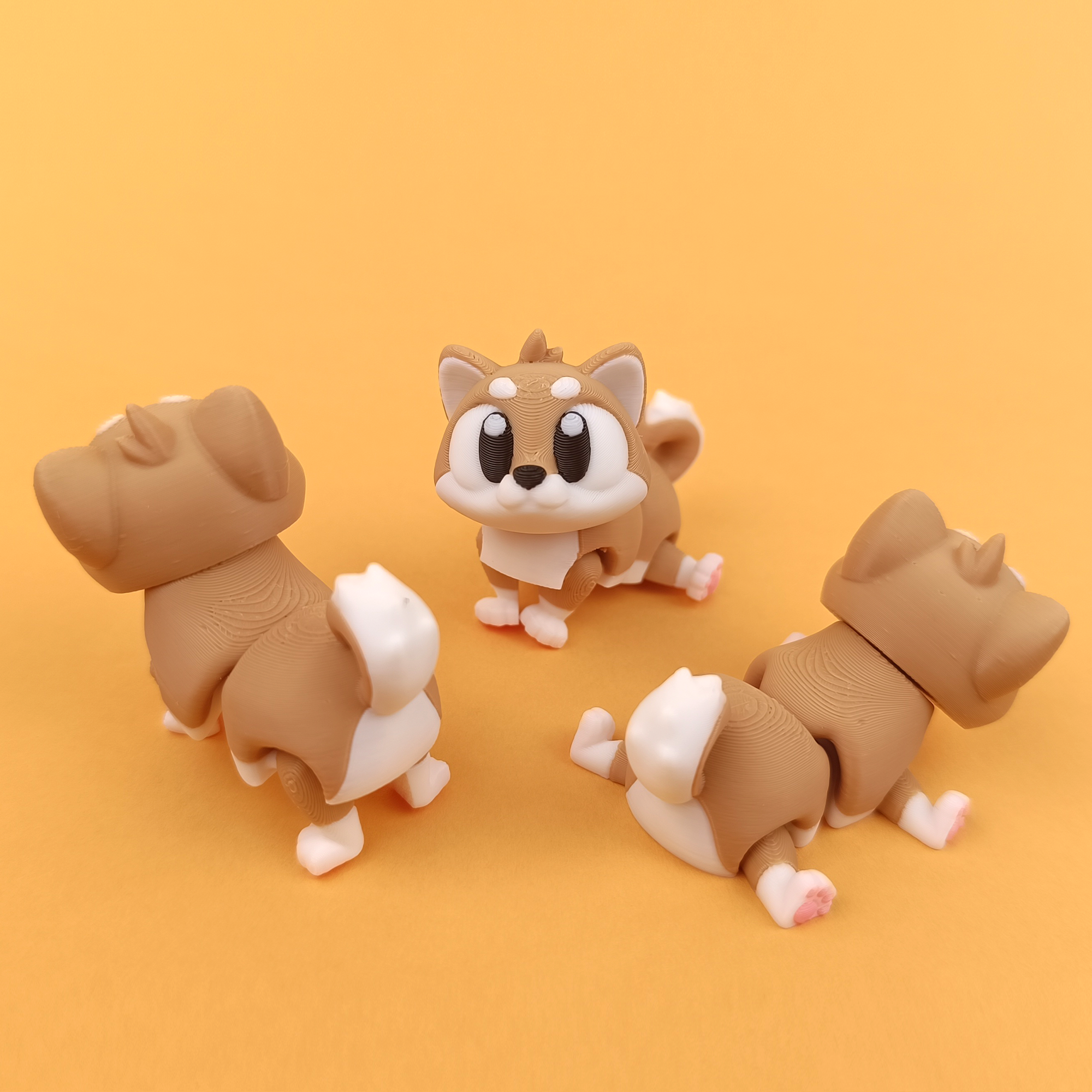 柴犬