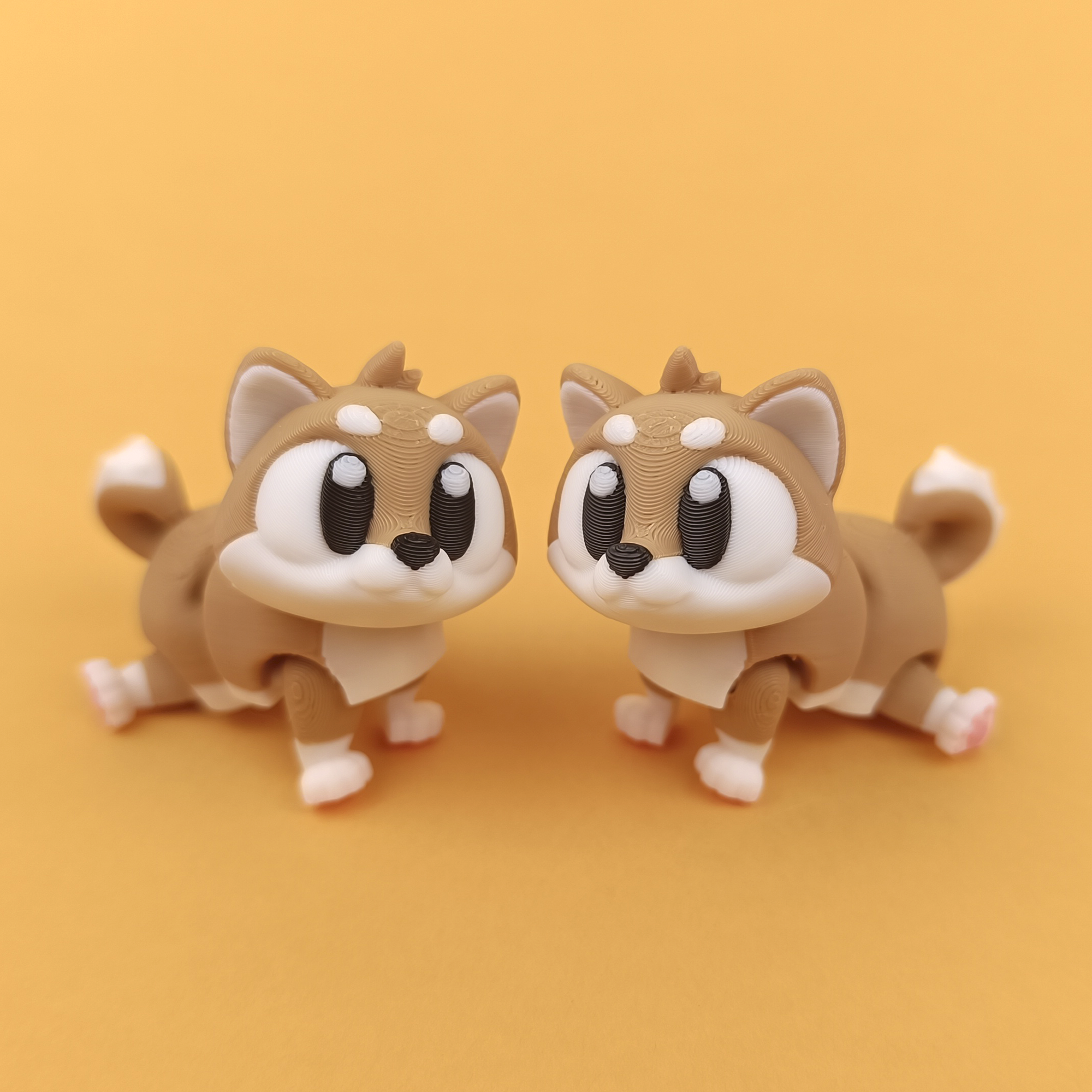 柴犬