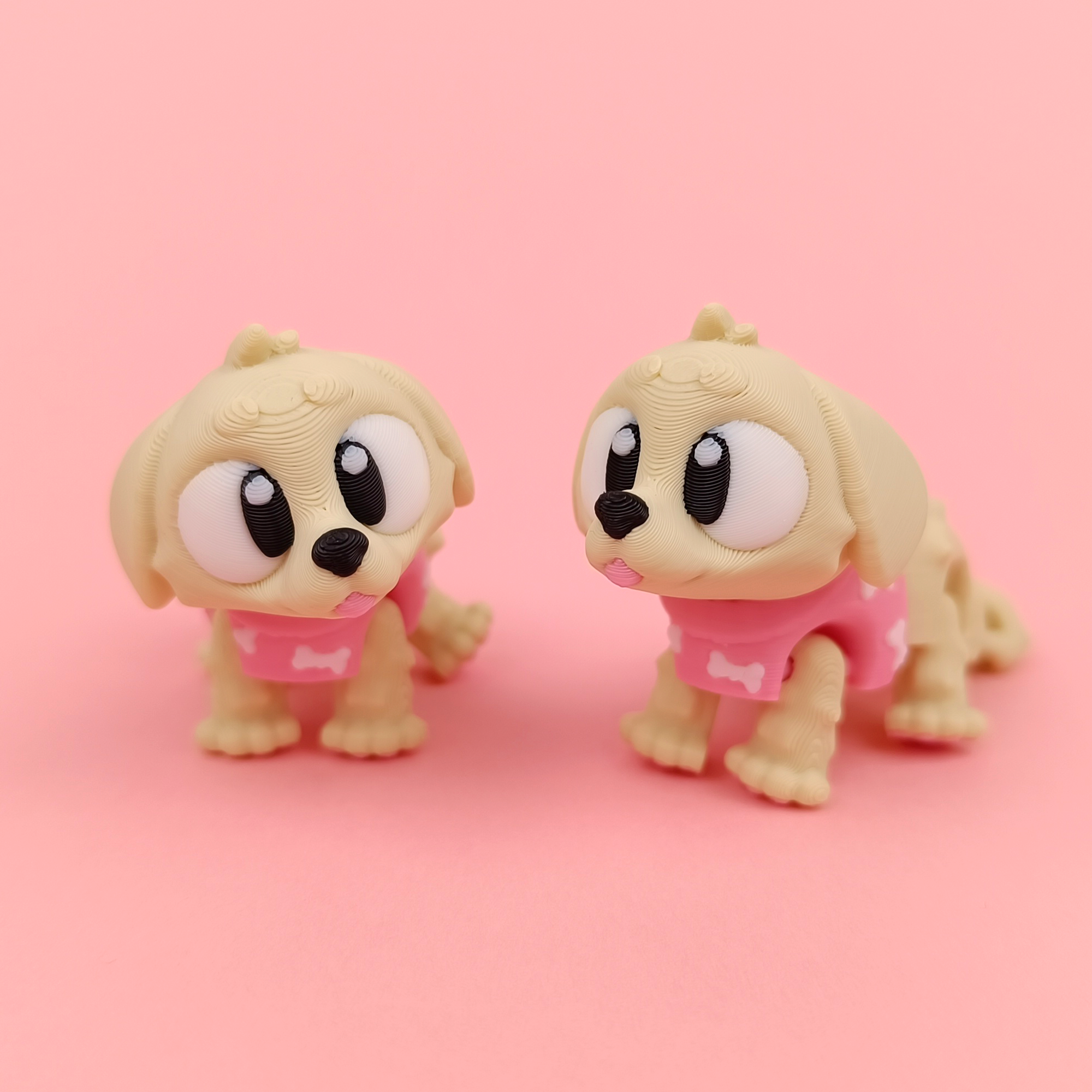 金毛幼犬