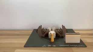 白头海雕