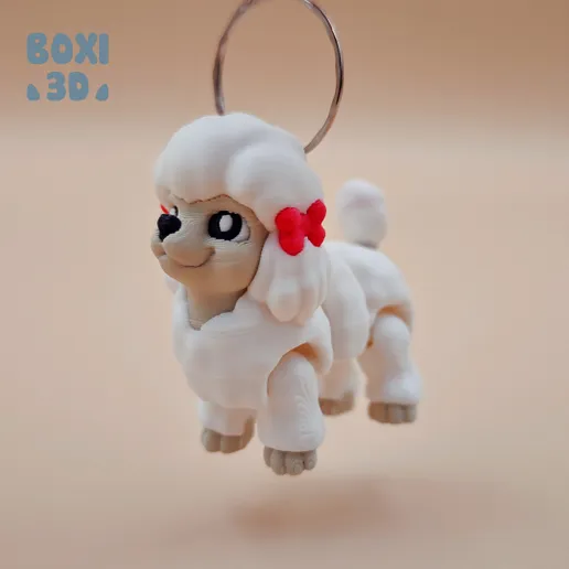 贵宾犬