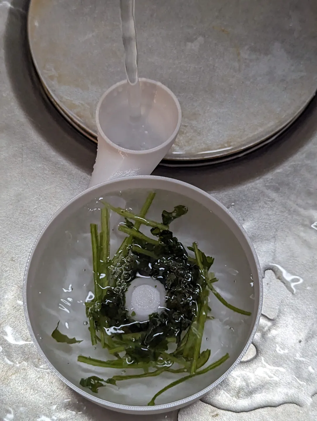 自动蔬菜和水果清洗器