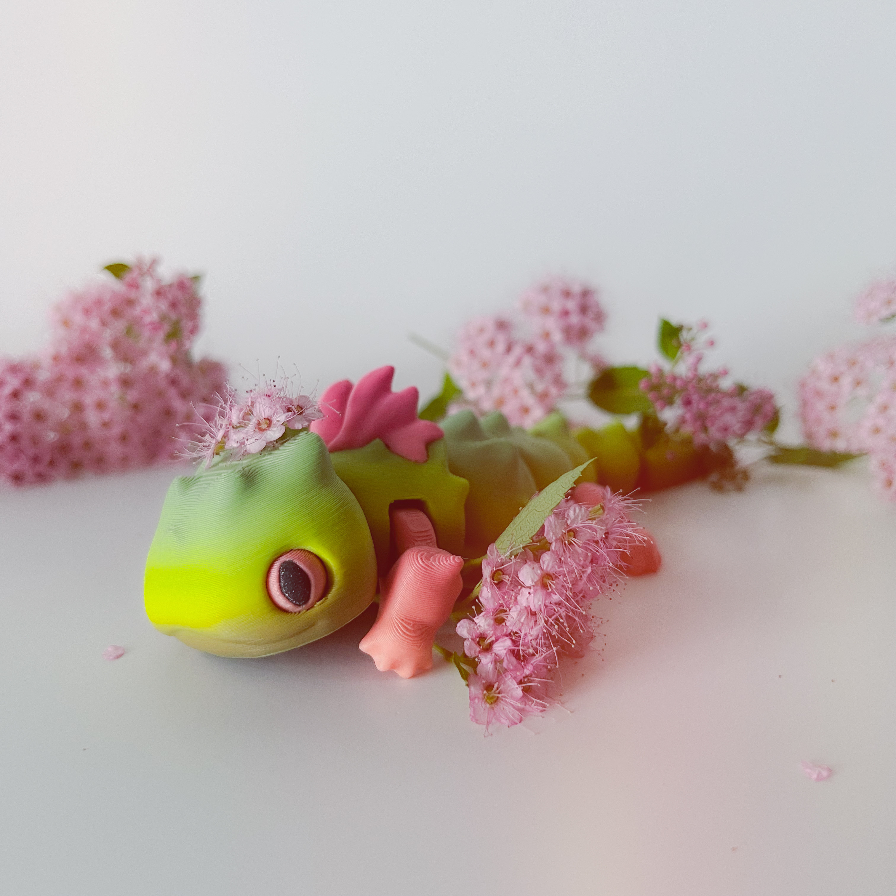 蝾螈龙